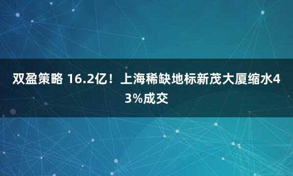 双盈策略 16.2亿！上海稀缺地标新茂大厦缩水43%成交