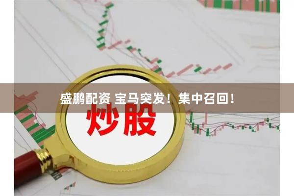 盛鹏配资 宝马突发！集中召回！
