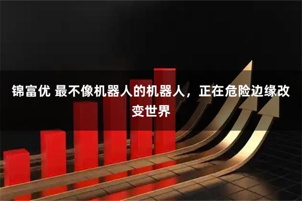 锦富优 最不像机器人的机器人，正在危险边缘改变世界